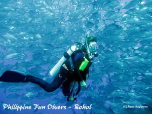 Bohol fun divers Panglao Island Bohol Philippines